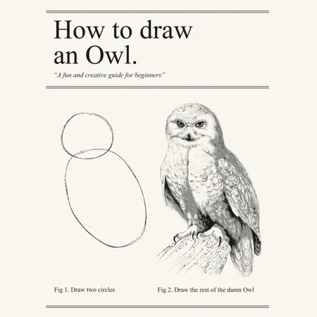 How to draw an owl: Step 1, draw two circles. Step 2, draw the rest of the owl.